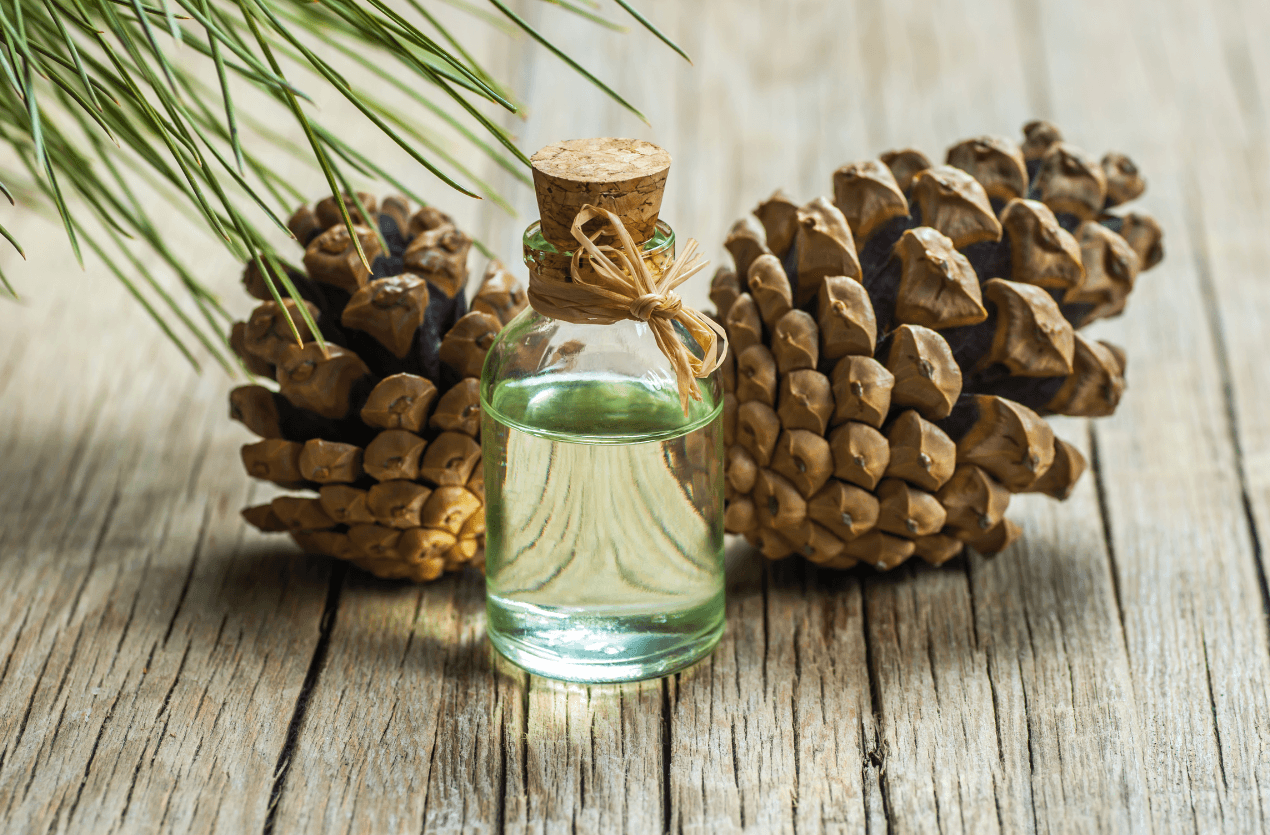 Turpentine Oil's Role in Shaping Sustainable Production Method