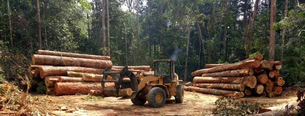 EUDR: යුරෝපා සංගමයේ වන විනාශ කිරීමේ නියාමනය රසායනික සැපයුම් දාම ලියකියවිලි වෙනස් කරන්නේ කෙසේද