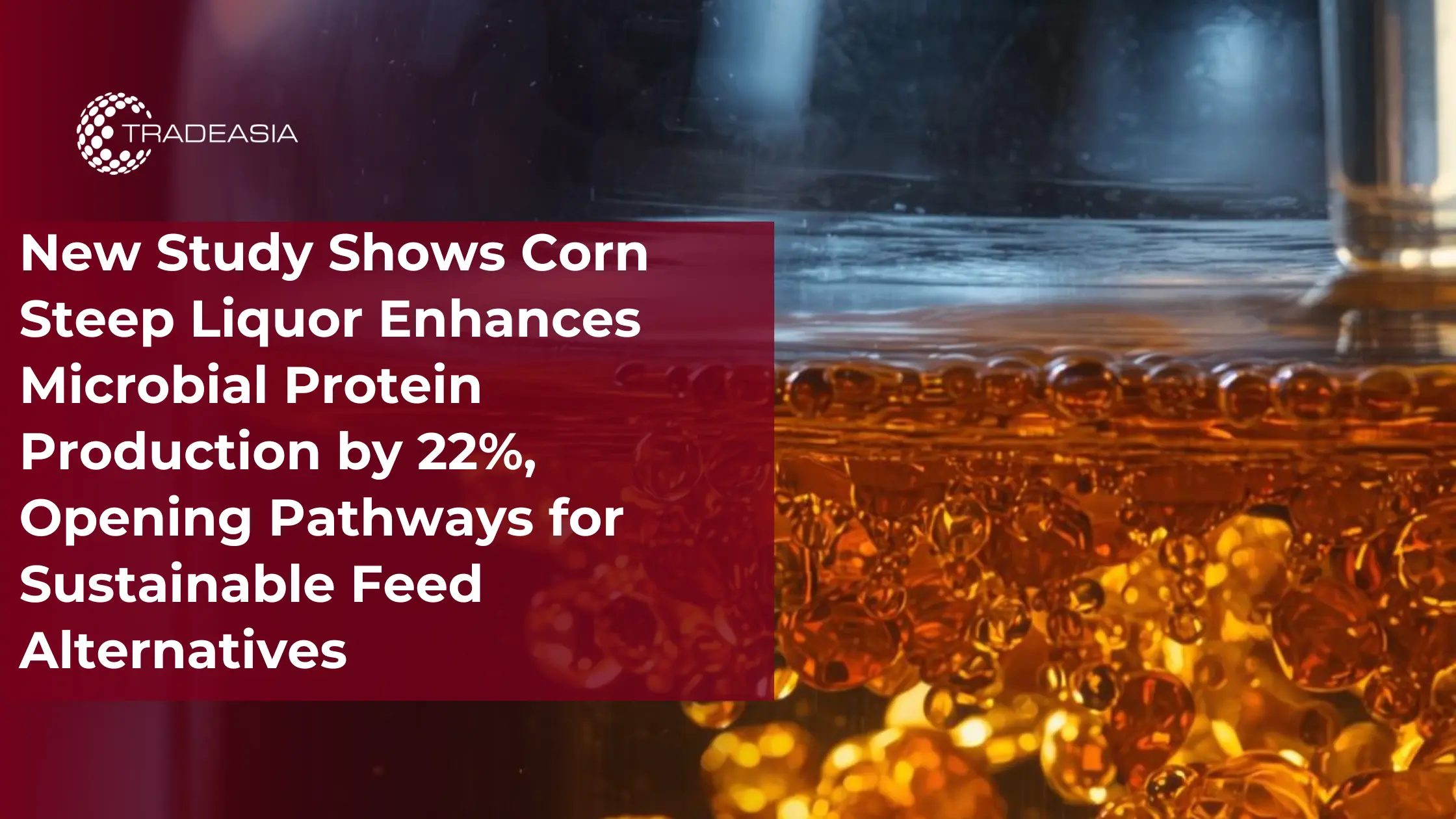 New Study Shows Corn Steep Liquor Enhances Microbial Protein Production by 22%, Opening Pathways for Sustainable Feed Alternatives