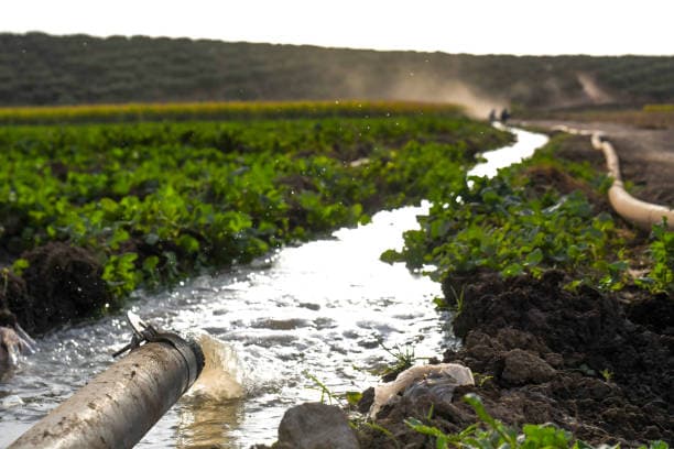 Water‑Scarce Food Production: Why Ingredient Suppliers Are Rethinking Processing