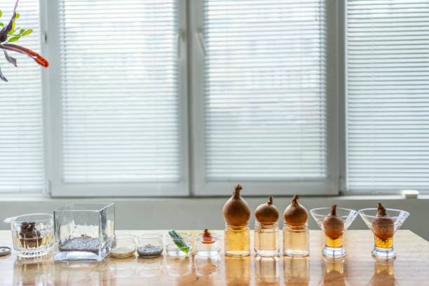 Osmo's Scent Science and the Future of Flavor-Adjacent Ingredient Design