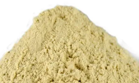 முக்கிய கோதுமை பசையம்