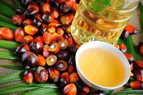 ஆர்பிடி பாம் ஆயில்